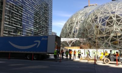 UPS and FedEx are tumbling after Amazon says it's going into shipping