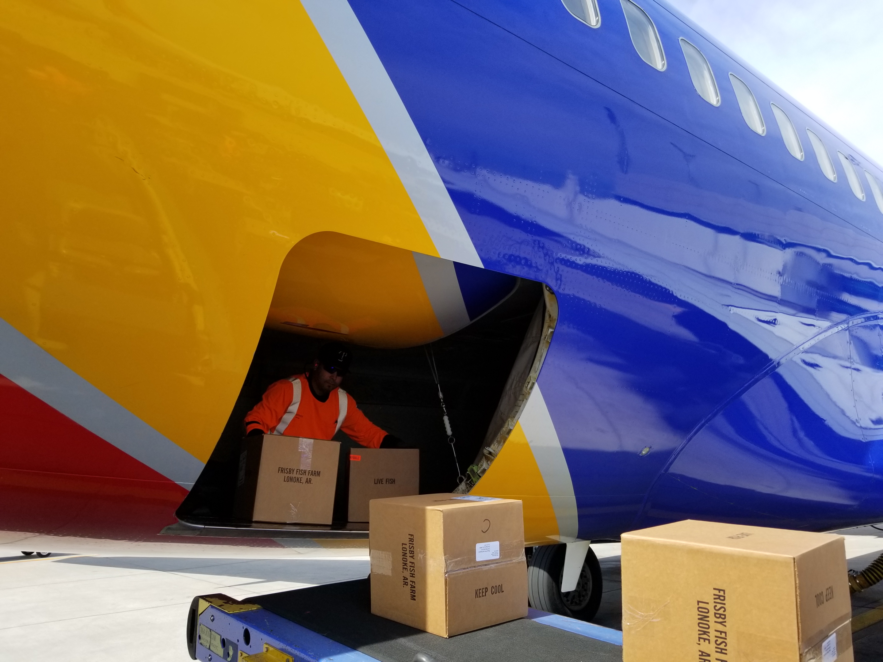 Southwest 737700 belly unload Cargo Facts