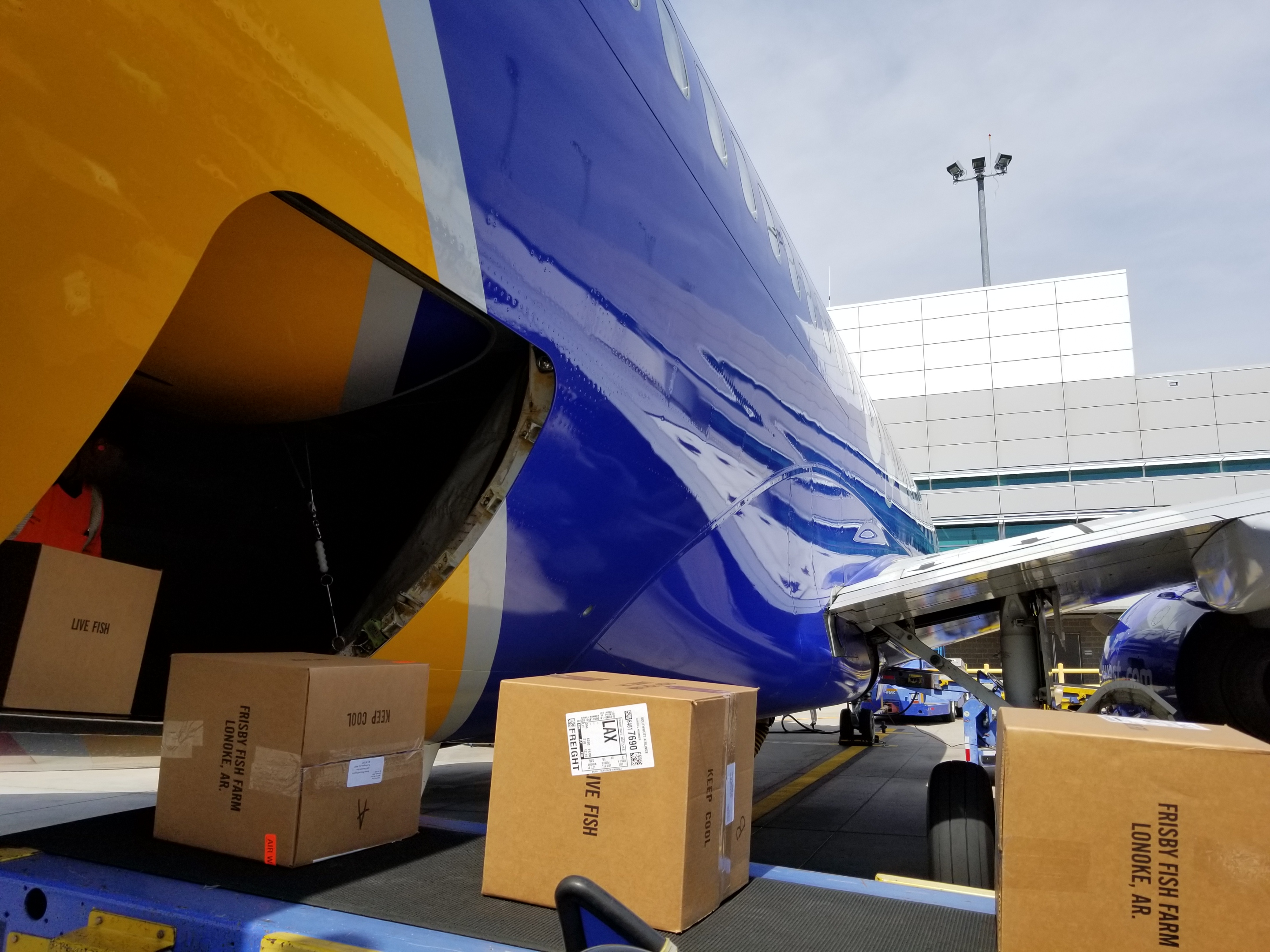 Up-close with Southwest Airlines’ Dallas cargo operations | Cargo Facts