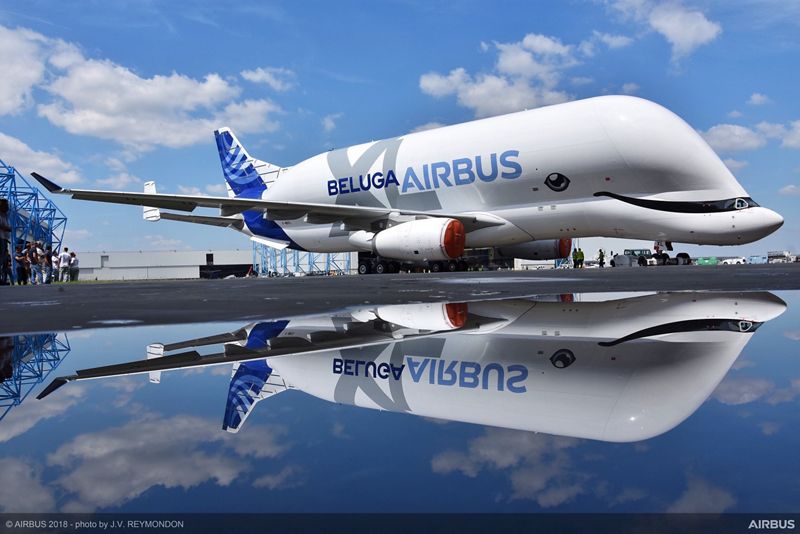 The first BelugaXL oversize cargo airlifter shows off its special beluga whale-inspired livery, which was selected by Airbus employees.
