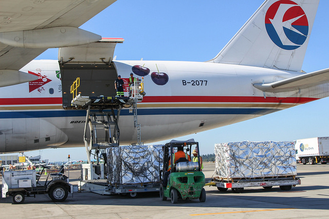 China Cargo, a division of China Eastern Airlines, carried US cherry exports aboard a specially painted 777F in 2017. Photo: Port of Seattle