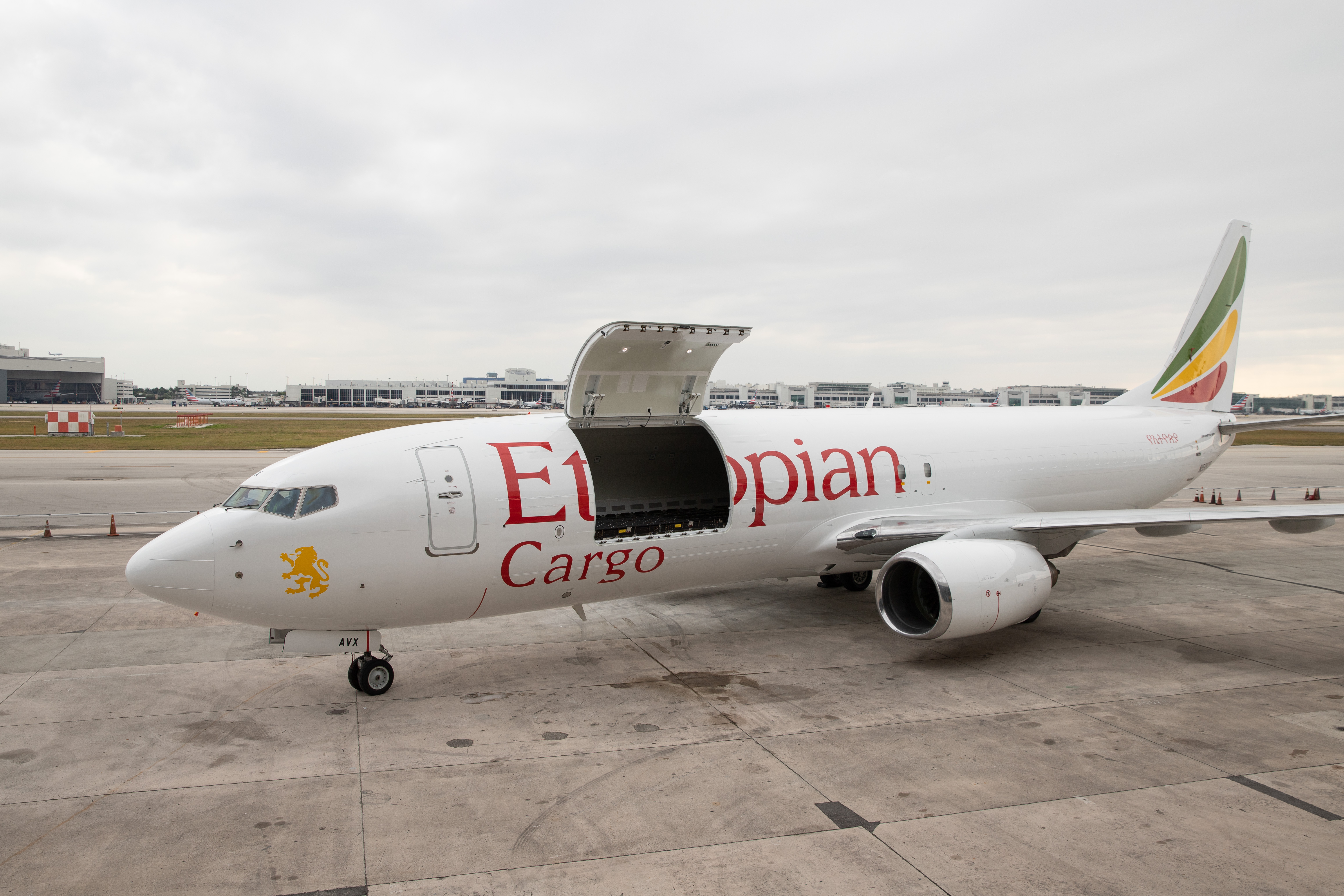 S7 cargo. S7 Cargo b737. 737-800 S7 Cargo. Boeing 737-800 Cargo s7. S7 Cargo Boeing 737.