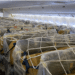 A Cathay Pacific 777-300ER with cargo in the passenger cabin. Photo/Cathay