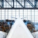 A330 conversions continue climb in freighter market