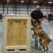 A canine and handler inspect cargo