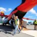 A horse walks off a plane