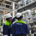Neste plant