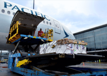 cargo being loaded onto a Cathay airplane