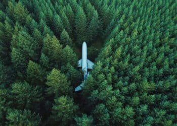 Old airplane in forest