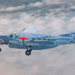 Merlin C208B
