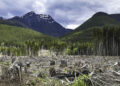 Canada logging