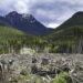 Canada logging